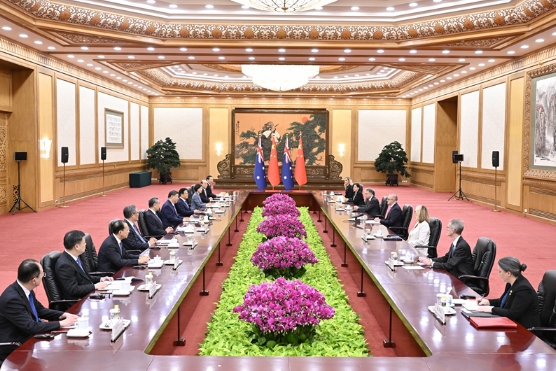 习近平会见澳大利亚总理阿尔巴尼斯2